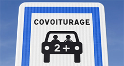 Rectangle 1